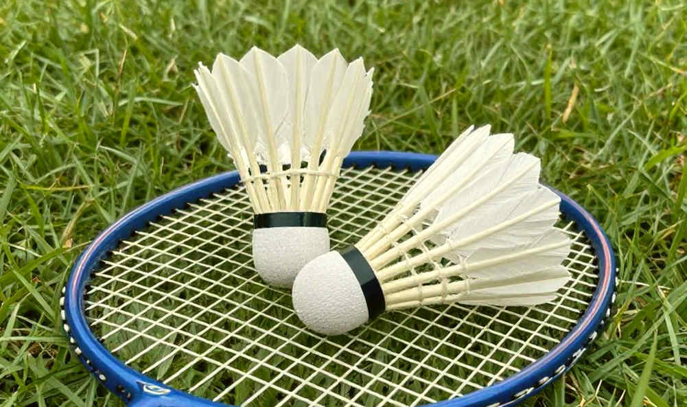পাঁচ প্রতিদ্বন্দ্বী নয়, একটা কাঠামো: সিন্ধুর এশিয়ান গেমস ২০২৬ লেজার পড়া